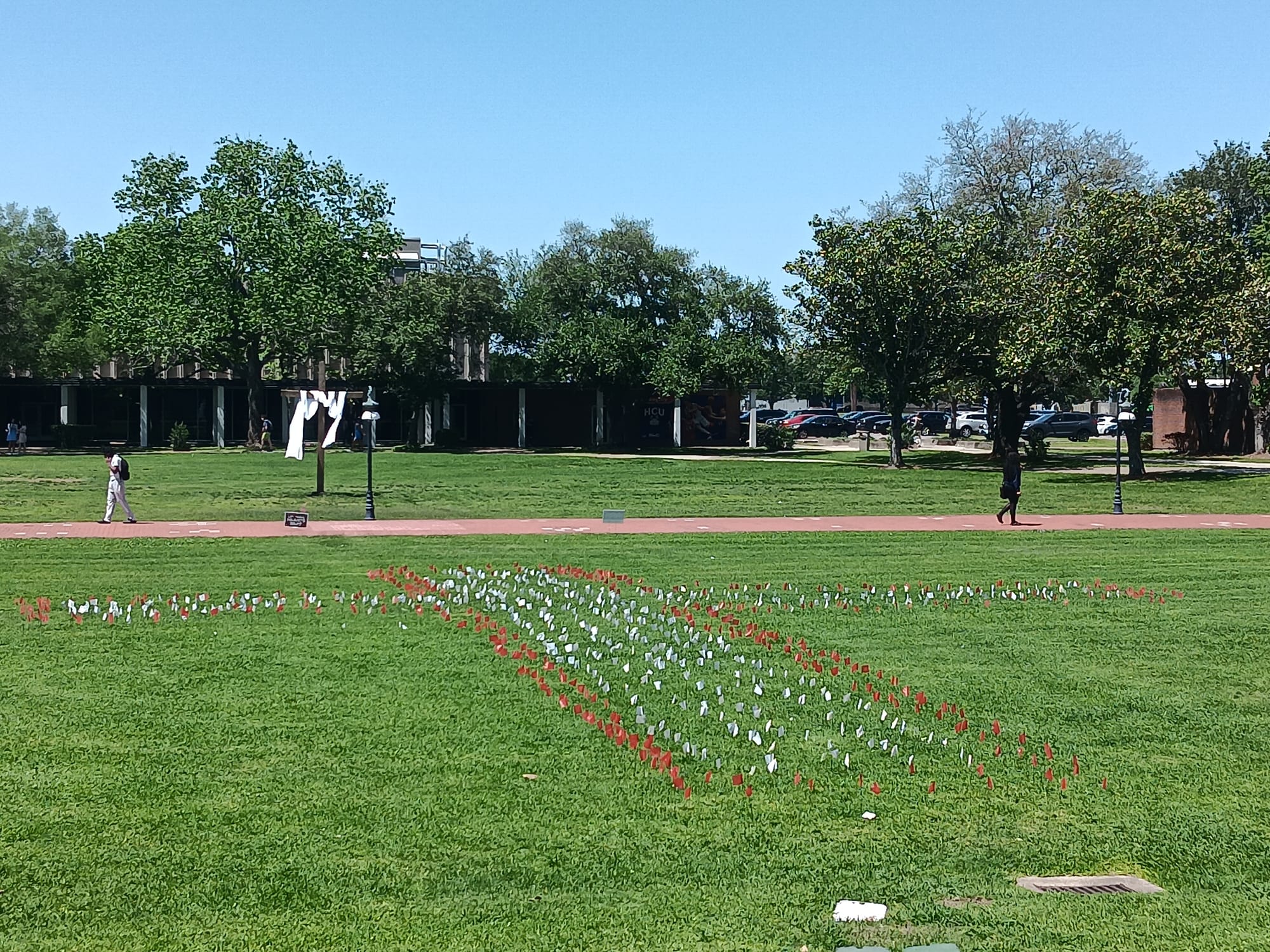 Memorial of the Innocent: Planting Flags for the Unborn Is Personal for These HCU Students